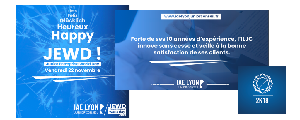 Les visuels pour l'IAE LYON JUNIOR CONSEIL H&B Création Agence Web Marketing